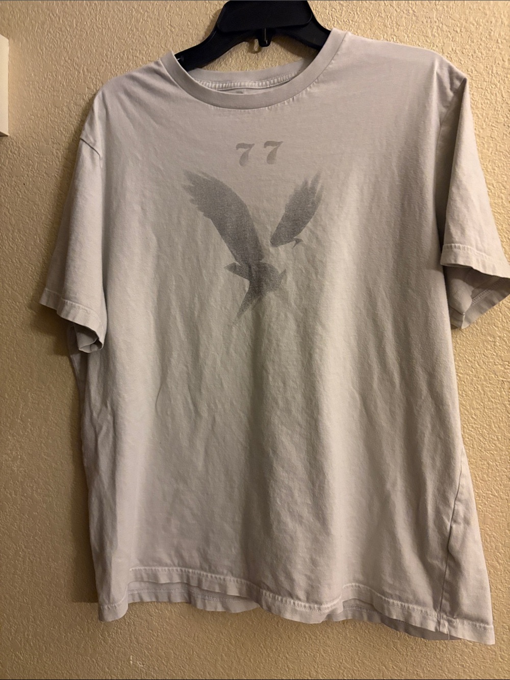 American Eagle Outfitters Light Gray Graphic Tee with Eagle Print